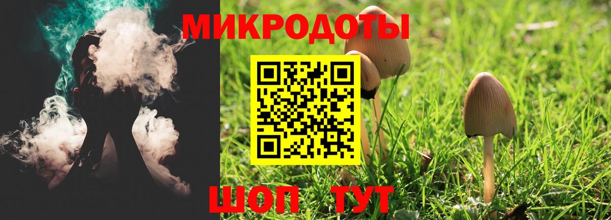 Великие Луки  Галлюциногенные грибы MAGIC MUSHROOMS  Галлюциногенные грибы прущие грибы  Вход с VPN 